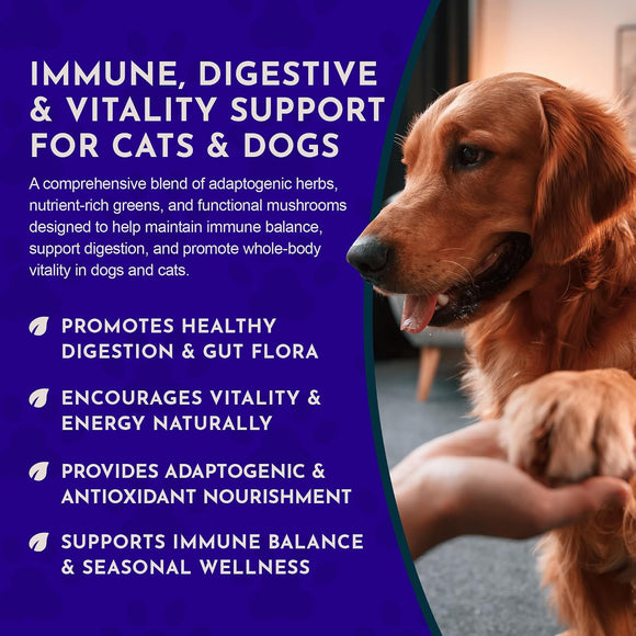 Animal Essentials Immuno Thrive Supplement Powder for Dogs & Cats 5.3-oz - Dog Supplements & Vitamins 7