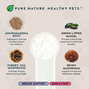 Animal Essentials Immuno Thrive Supplement Powder for Dogs & Cats 5.3-oz - Dog Supplements & Vitamins 4