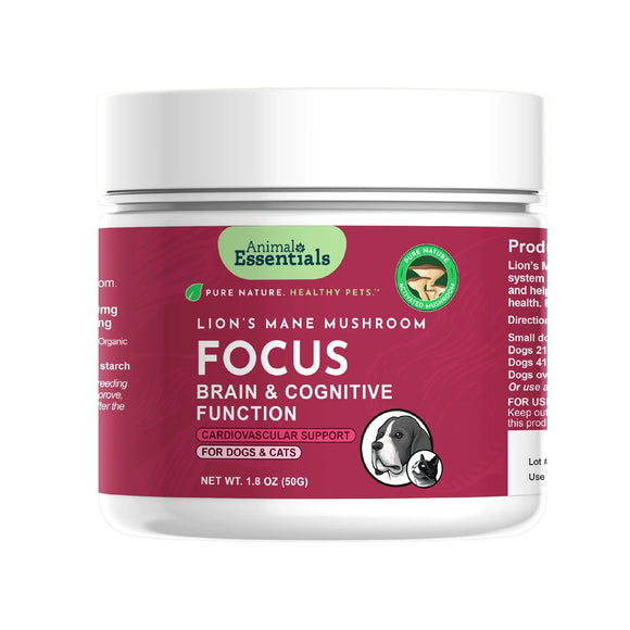 Animal Essentials Lion's Mane Mushroom Focus Cardiovascular Support for Dogs & Cats, 1.8-oz Dog Supplements & Vitamins.
