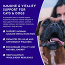Animal Essentials Mushroom Blend Defense Immune Support for Dogs & Cats, 2.5-oz Dog Supplements & Vitamins.