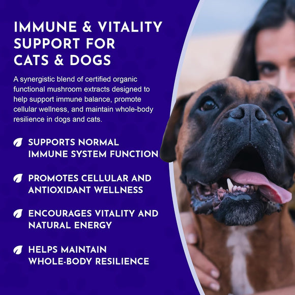 Animal Essentials Mushroom Blend Defense Immune Support for Dogs & Cats, 2.5-oz Dog Supplements & Vitamins.