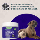 Animal Essentials Mushroom Blend Defense Immune Support for Dogs & Cats, 2.5-oz Dog Supplements & Vitamins.
