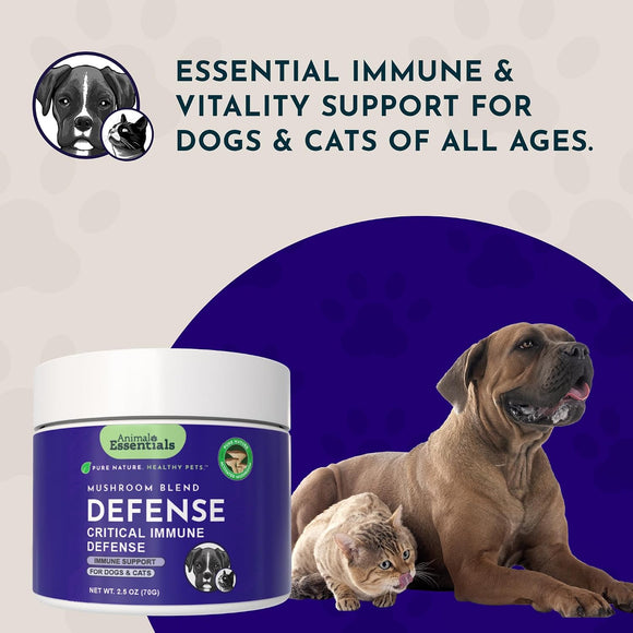 Animal Essentials Mushroom Blend Defense Immune Support for Dogs & Cats, 2.5-oz Dog Supplements & Vitamins.