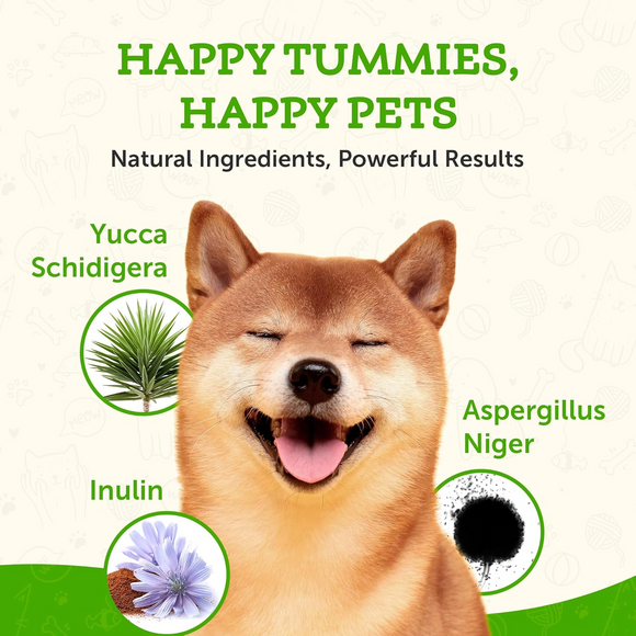 Animal Essentials Plant Enzyme & Probiotic Digestive Supplement Powder for Dogs & Cats - Dog & Cats Digestive &
