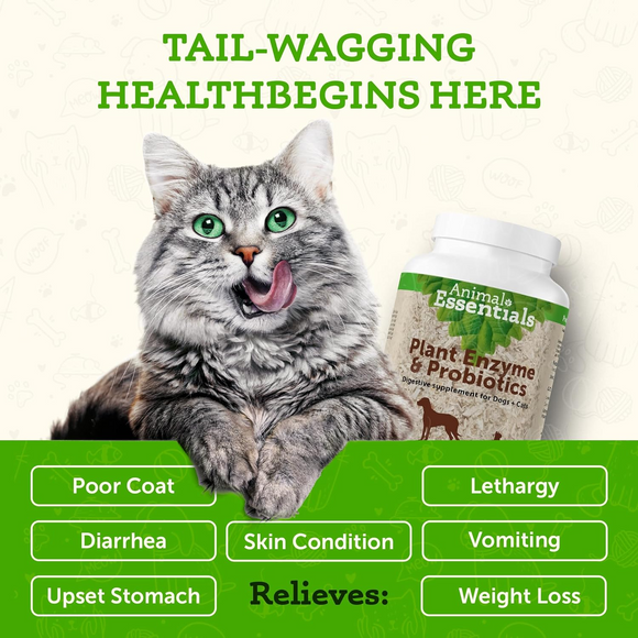 Animal Essentials Plant Enzyme & Probiotic Digestive Supplement Powder for Dogs & Cats - Dog & Cats Digestive &