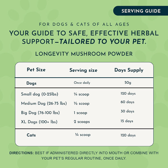 Animal Essentials Reishi Mushroom Longevity Antioxidant & Liver Protection for Dogs & Cats 1.8-oz - Dog Supplements &