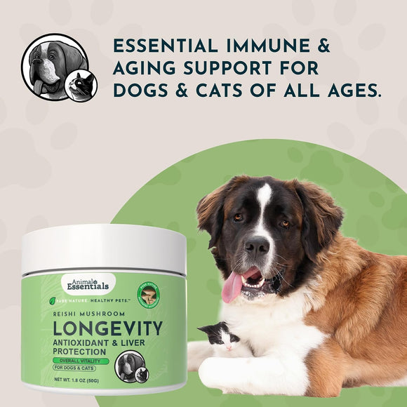 Animal Essentials Reishi Mushroom Longevity Antioxidant & Liver Protection for Dogs & Cats 1.8-oz - Dog Supplements &