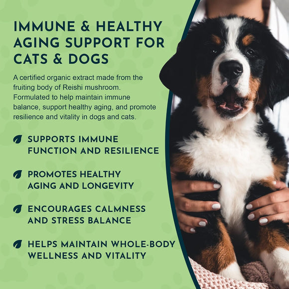Animal Essentials Reishi Mushroom Longevity Antioxidant & Liver Protection for Dogs & Cats 1.8-oz - Dog Supplements &