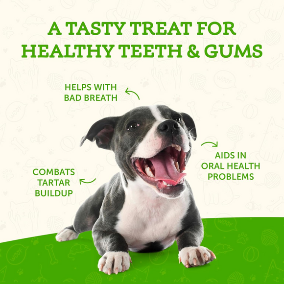 Animal Essentials SeaDent Anti-Plaque Powder for Dogs (2.5 oz) - All Dog Dental Care 4