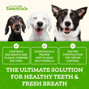 Animal Essentials SeaDent Anti-Plaque Powder for Dogs (2.5 oz) - All Dog Dental Care 5