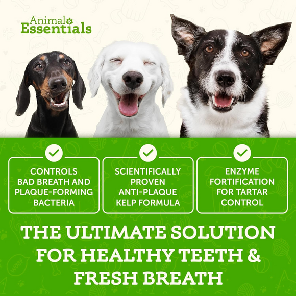 Animal Essentials SeaDent Anti-Plaque Powder for Dogs (2.5 oz) - All Dog Dental Care 5