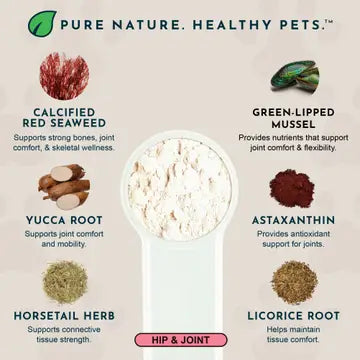 Animal Essentials Sea-Flex Powder for Healthy Joints & Mobility for Dogs & Cats 3.5-oz - Dog Supplements & Vitamins 4