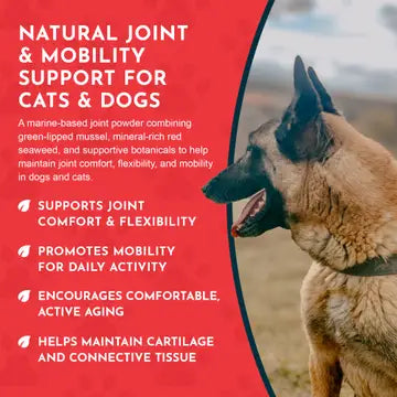 Animal Essentials Sea-Flex Powder for Healthy Joints & Mobility for Dogs & Cats 3.5-oz - Dog Supplements & Vitamins 5