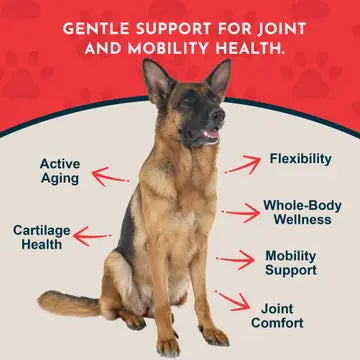 Animal Essentials Sea-Flex Powder for Healthy Joints & Mobility for Dogs & Cats 3.5-oz - Dog Supplements & Vitamins 3