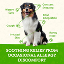 Animal Essentials Seasonal Allergy Herbal Tonic to Maintain Normal Histamine Levels for Dogs & Cats - Pet Vitamins &