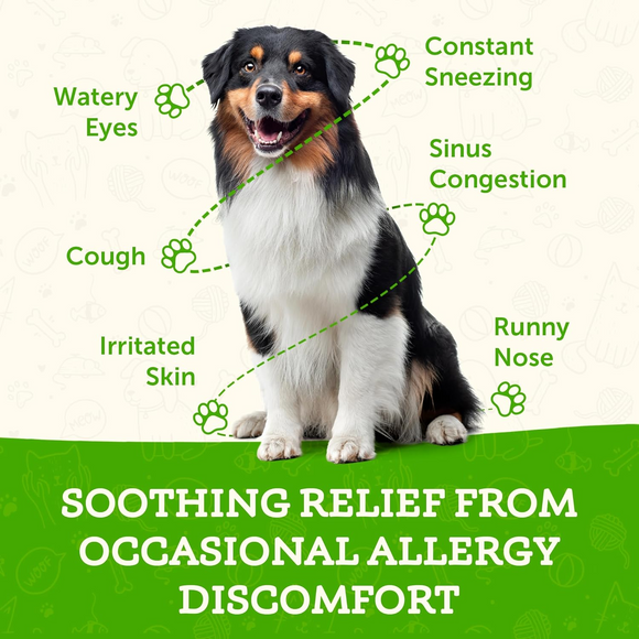 Animal Essentials Seasonal Allergy Herbal Tonic to Maintain Normal Histamine Levels for Dogs & Cats - Pet Vitamins &