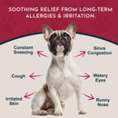 Animal Essentials Seasonal Allergy Powder for Dogs & Cats 2.5-oz - Dog Supplements & Vitamins 2