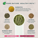 Animal Essentials Seasonal Allergy Powder for Dogs & Cats 2.5-oz - Dog Supplements & Vitamins 3
