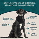 Animal Essentials Senior Support Herbal Tonic to Maintain Optimal Health for Dogs & Cats - Pet Vitamins & Supplements 11