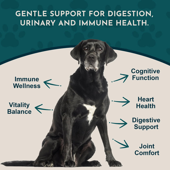 Animal Essentials Senior Support Herbal Tonic to Maintain Optimal Health for Dogs & Cats - Pet Vitamins & Supplements 11