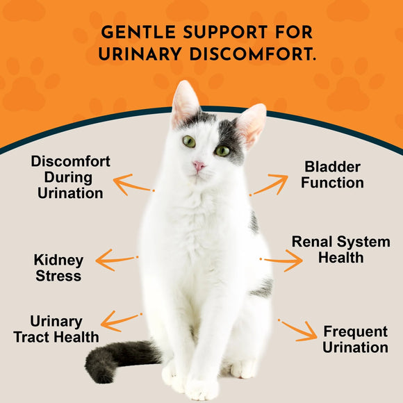 Animal Essentials Tinkle Tonic Herbal Tonic to Support Urinary Tracts System for Dogs & Cats - Urinary Tract 4