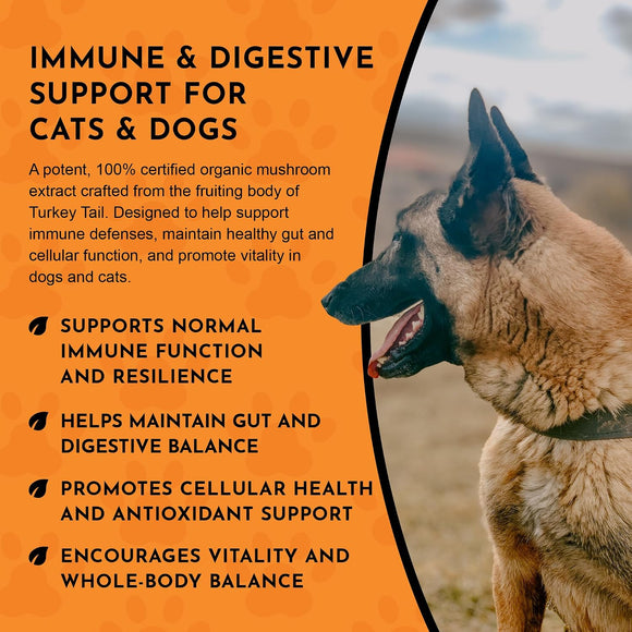 Animal Essentials Turkey Tail Mushroom Combat Immune Support for Dogs & Cats 2.5-oz - Dog Supplements & Vitamins 6