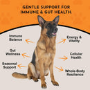 Animal Essentials Turkey Tail Mushroom Combat Immune Support for Dogs & Cats 2.5-oz - Dog Supplements & Vitamins 3
