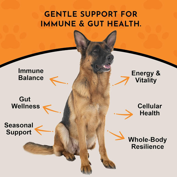 Animal Essentials Turkey Tail Mushroom Combat Immune Support for Dogs & Cats 2.5-oz - Dog Supplements & Vitamins 3