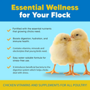 Animal Health Solutions Chick Boost Probiotics - Chicken Feed 2