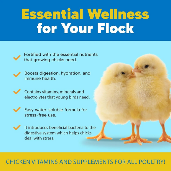 Animal Health Solutions Chick Boost Probiotics - Chicken Feed 2