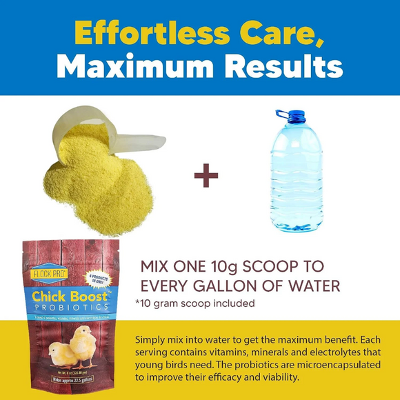 Animal Health Solutions Chick Boost Probiotics - Chicken Feed 6