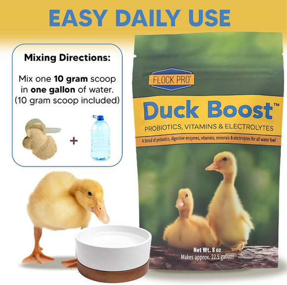 Animal Health Solutions Duck Boost Probiotic Vitamin & Electrolyte Supplement for Water Fowl - Poultry Food 6