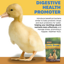 Animal Health Solutions Duck Boost Probiotic Vitamin & Electrolyte Supplement for Water Fowl - Poultry Food 2