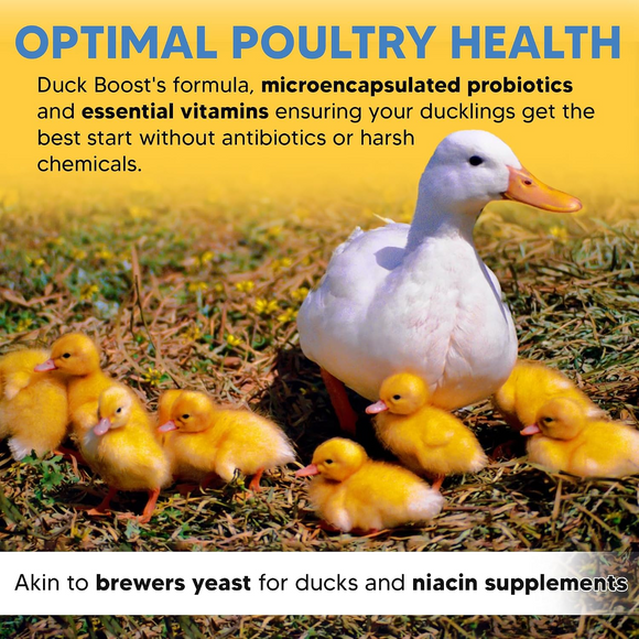 Animal Health Solutions Duck Boost Probiotic Vitamin & Electrolyte Supplement for Water Fowl - Poultry Food 3