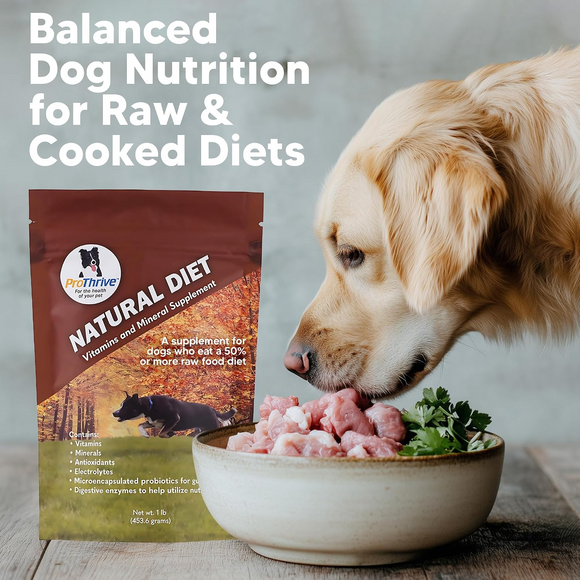 Animal Health Solutions Natural Diet Vitamin & Mineral Supplement for Dogs 1-lb - Dog Supplements & Vitamins 8