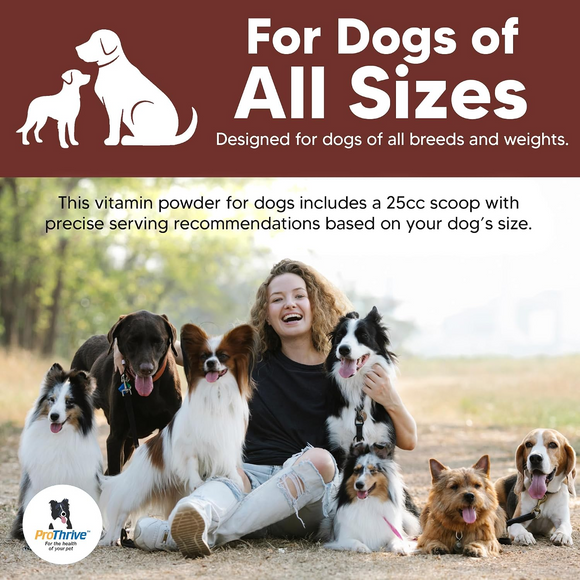 Animal Health Solutions Natural Diet Vitamin & Mineral Supplement for Dogs 1-lb - Dog Supplements & Vitamins 3