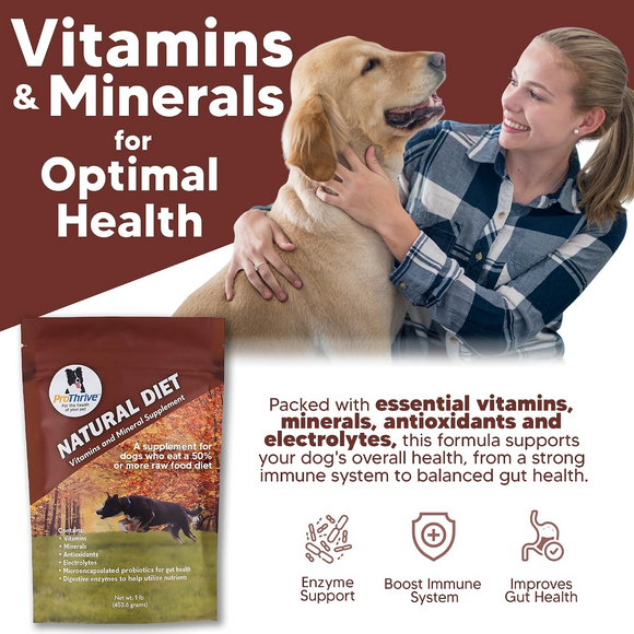 Animal Health Solutions Natural Diet Vitamin & Mineral Supplement for Dogs 1-lb - Dog Supplements & Vitamins 2