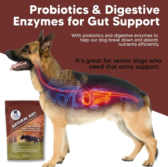 Animal Health Solutions Natural Diet Vitamin & Mineral Supplement for Dogs 1-lb - Dog Supplements & Vitamins 4