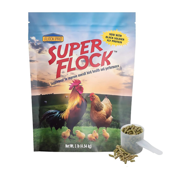Animal Health Solutions Super Flock Chicken Supplement 1-lb - Poultry Supplies 1