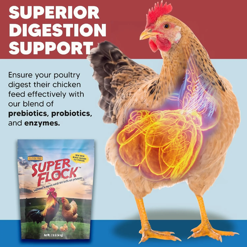 Animal Health Solutions Super Flock Chicken Supplement, 1-lb