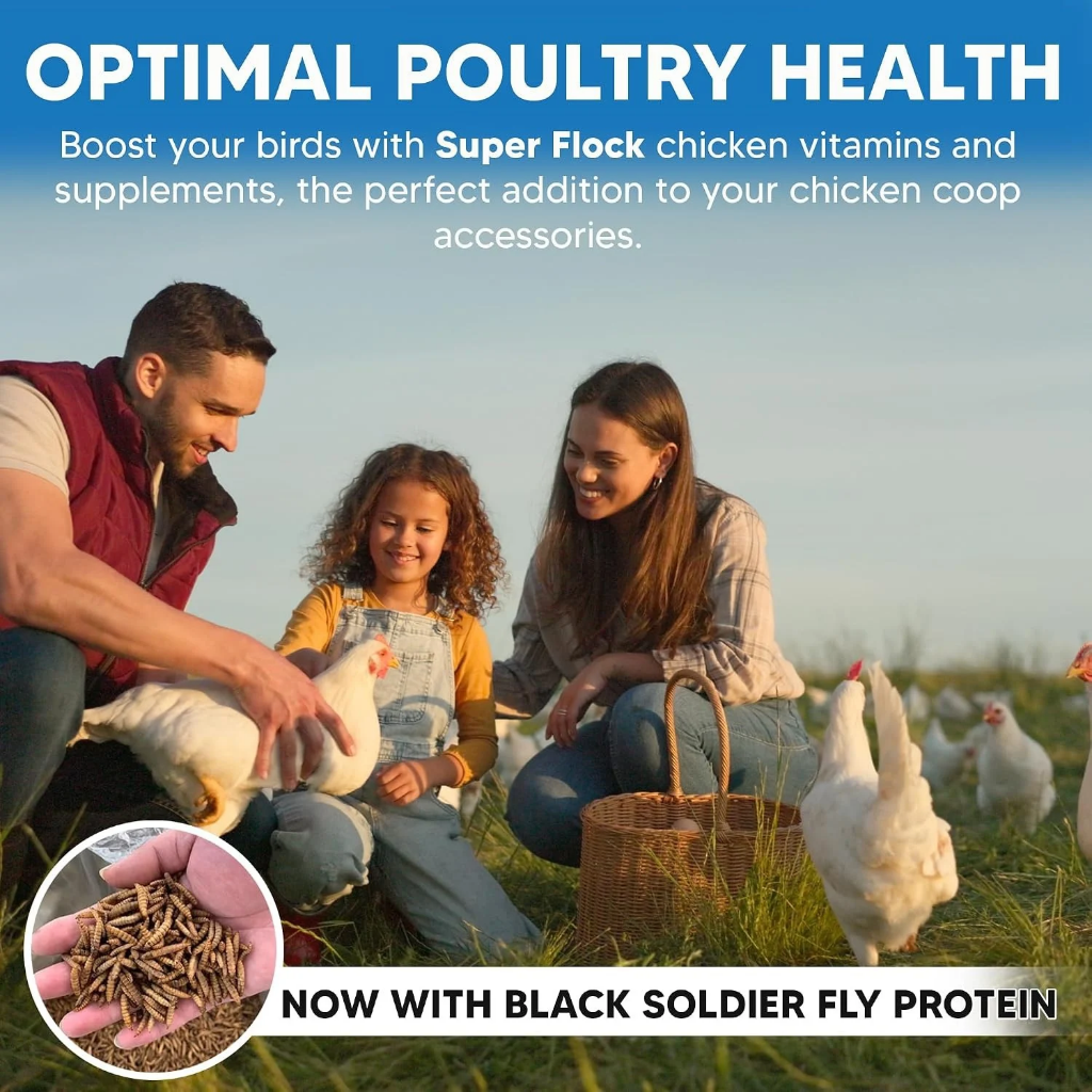 Animal Health Solutions Super Flock Chicken Supplement, 1-lb
