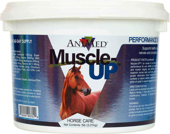 AniMed Muscle-Up Powder Supplement for Horses - 5 lbs - Horse Health & Wellness 4