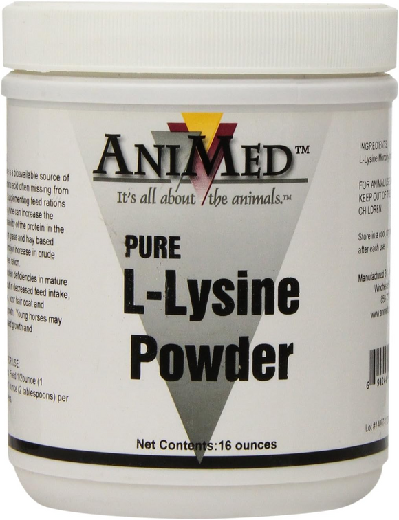 AniMed Pure L-Lysine Powder For Horses - 1 lb - Horse Health & Wellness 2