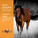 AniMed Remission For Horses - Horse Health & Wellness 4