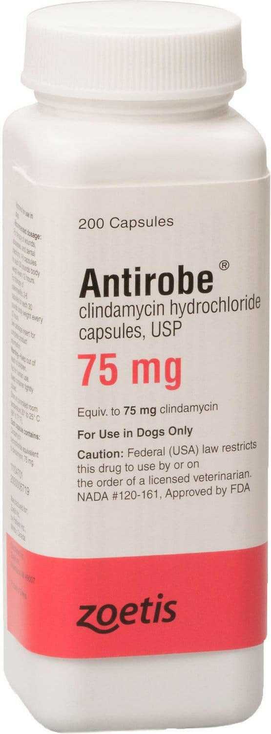 Antirobe (clindamycin hydrochloride) Capsules - 75-mg / 1 Capsule - Pet Medicine 3