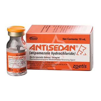 Antisedan (atipamezole hydrochloride) 10ml (5mg/ml) - Pet Medicine 1