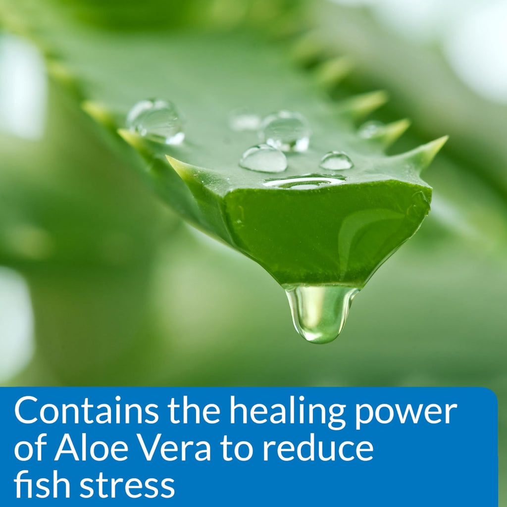 aloe vera aquarium API Stress Coat 1 oz
