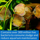 API Stress Zyme Aquarium Water Cleaner