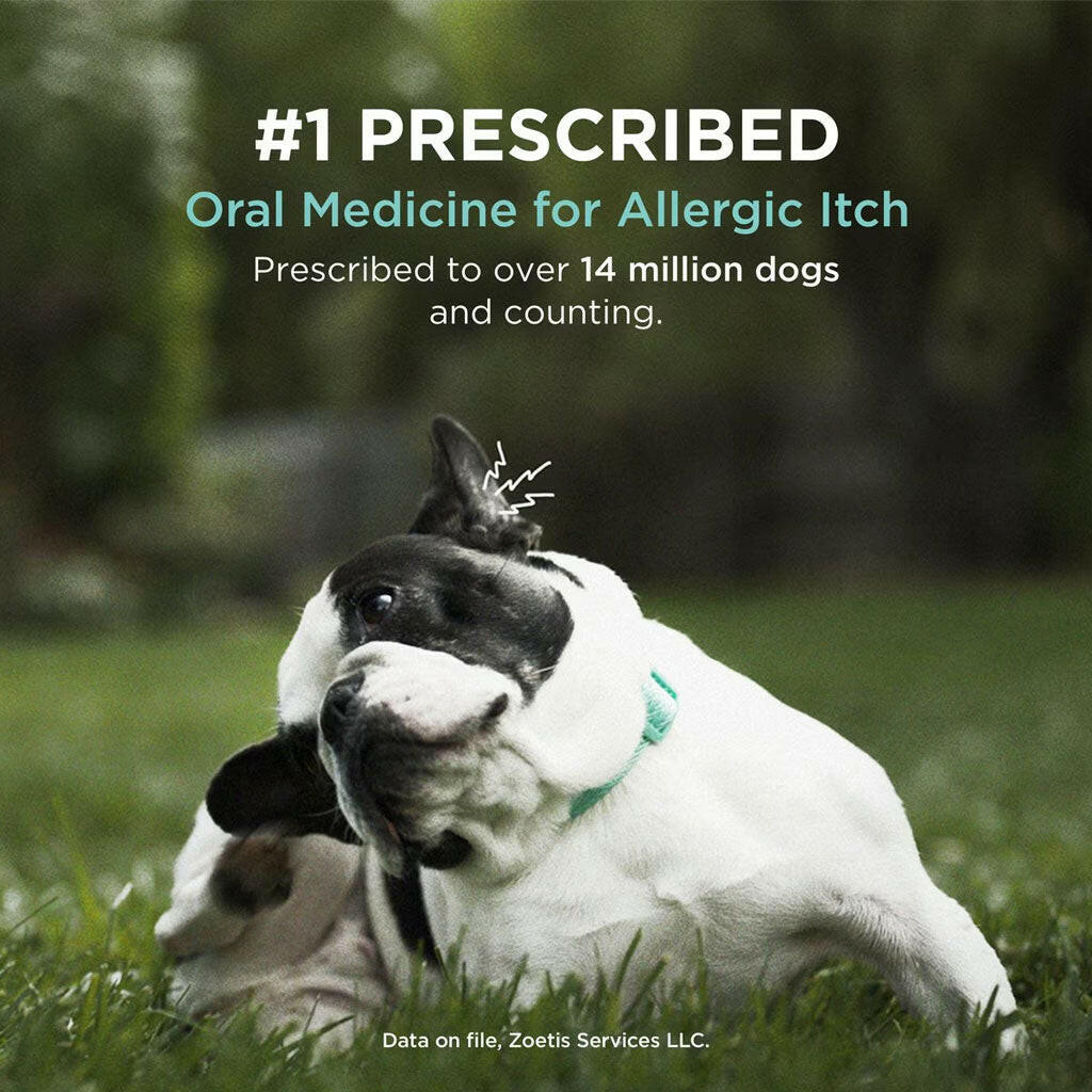 Per Kg Apoquel Dosage For Dogs By Weight Apoquel Tablets For