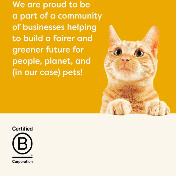 Cat on a yellow background with text about a community of businesses and B Corp certification.